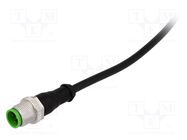 Connection lead; M12; PIN: 3; straight; 5m; plug; 250VAC; 4A; 7000 MURR ELEKTRONIK