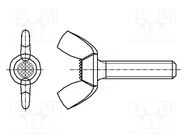 Screw; M5x12; 0.8; Head: wing; steel; zinc; DIN 316; 12mm BOSSARD