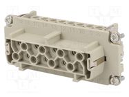 Connector: HDC; contact insert; female; C146,heavy|mate; PIN: 16 