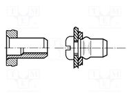 Rivet nuts; M4; steel; Plating: zinc; BN 4577; Ømount.hole: 6.1mm 