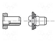 Rivet nuts; M8; steel; Plating: zinc; BN 4577; Ømount.hole: 11.1mm BOSSARD