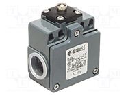Limit switch; pin plunger Ø8mm; NO + NC; 10A; max.500VAC; PG13,5 PIZZATO ELETTRICA