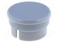Cap; polyamide; grey; 15mm; -20÷70°C RITEL