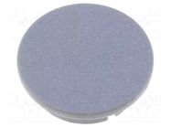 Cap; plastic; grey; push-in MENTOR