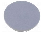 Cap; plastic; grey; push-in MENTOR