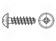 Screw; for plastic; 2.5x10; Head: button; Pozidriv; PZ2; zinc BOSSARD