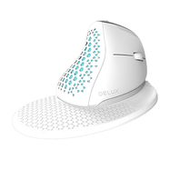 Delux M618XSD Wireless Vertical Mouse, Delux