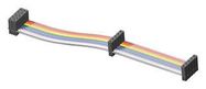 CABLE ASSY, IDC RCPT-RCPT, 28P, 76MM