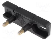 Flat key; DS PIZZATO ELETTRICA