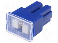 Fuse: fuse; 100A; automotive; JAPVAL; female MTA