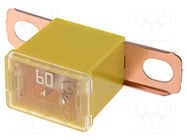 Fuse: fuse; 60A; automotive; JAPVAL; male; 36mm MTA