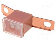 Fuse: fuse; 30A; automotive; JAPVAL; male; 48.6mm MTA