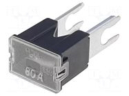 Fuse: fuse; 80A; automotive; JAPVAL; male MTA