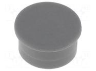 Cap; thermoplastic; push-in; grey CLIFF