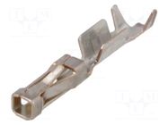 Contact; female; AMPMODU MTE; copper alloy; gold-plated; crimped TE Connectivity