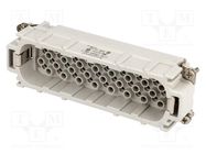 Connector: HDC; contact insert; male; C146,heavy|mate D; PIN: 64 