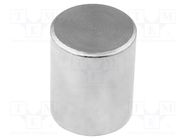 Magnet: permanent; neodymium; H: 20mm; 6N; Ø: 6mm; Enclos.mat: steel ELESA+GANTER