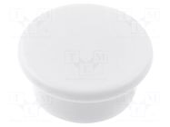 Magnet: permanent; neodymium; 27N; Ø: 30mm; H: 8.5mm; plastic ELESA+GANTER