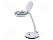 Desktop magnifier with backlight; 3dpt,12dpt; Ø101.6mm; Ø4" NEWBRAND