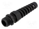 Cable gland; with strain relief; NPT1/2"; IP68; polyamide; black LAPP