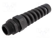 Cable gland; with strain relief; NPT3/4"; IP68; polyamide; black LAPP