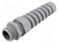 Cable gland; with strain relief; NPT3/4"; IP68; polyamide; grey LAPP