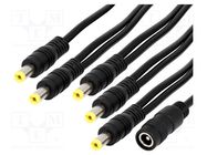 Cable; 2x0.5mm2; DC 5,5/2,1 plug x5,DC 5,5/2,1 socket; straight ESPE