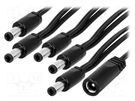 Cable; 2x0.5mm2; DC 5,5/2,5 plug x5,DC 5,5/2,5 socket; straight ESPE