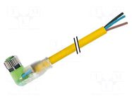 Cable: for sensors/automation; M8; PIN: 3; angled; 10m; plug; 30VDC MURRELEKTRONIK