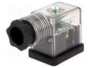 Connector: valve connector; plug; form B; 11mm; female; PIN: 3; 24V MOLEX