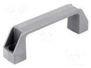 Holder; technopolymer PA; grey; H: 41mm; L: 137mm; W: 26mm; F2: 2.5kN ELESA+GANTER