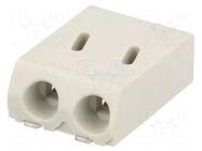 Connector: plug-in; DG2002; 4mm; ways: 2; 24AWG÷18AWG; 0.2÷0.75mm2 DEGSON ELECTRONICS