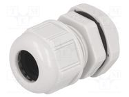 Cable gland; M20; 1.5; IP68; polyamide; light grey; UL94V-2 MOLEX