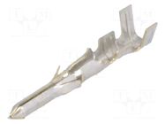 Contact; male; Standard .062"; tinned; 24AWG÷18AWG; cut from reel MOLEX