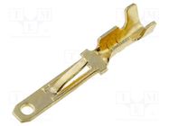 Terminal: flat; 2.8mm; 0.5÷1mm2; gold-plated; with a latch; male 4CARMEDIA