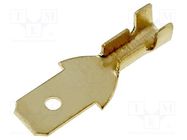 Terminal: flat; 4.7mm; 0.3÷1mm2; gold-plated; male 4CARMEDIA