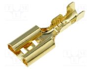 Terminal: flat; 4.7mm; 0.5÷1mm2; gold-plated; female 4CARMEDIA