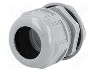 Cable gland; PG36; IP68; polyamide; dark grey; UL94V-2; GWconnect MOLEX