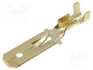 Terminal: flat; 6.3mm; 1÷2.5mm2; with a latch; male 