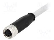 Connector: M8; female; PIN: 4; straight; with lead; plug; 2m; PVC HARTING