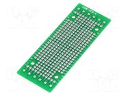 Prototype board GAINTA