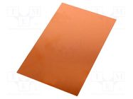 Laminate; FR4,epoxy resin; 0.8mm; L: 160mm; W: 100mm; double sided 