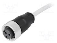 Connector: 7/8"; plug; 5m; female; PIN: 3; straight; with lead; PVC HARTING