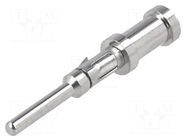 Contact; male; Buccaneer 6000,Buccaneer 7000; brass; 20AWG÷18AWG BULGIN