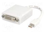 Adapter; DisplayPort 1.1a; white LOGILINK