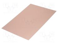 Laminate; FR4,epoxy resin; 0.6mm; L: 420mm; W: 297mm; double sided 