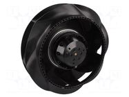Fan: AC; radial; 230VAC; Ø220x71mm; ball; 2500rpm; IP44 EBM-PAPST