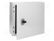 Enclosure: wall mounting; X: 300mm; Y: 300mm; Z: 150mm; CS; steel EATON ELECTRIC