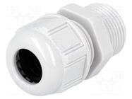 Cable gland; PG13,5; IP68; polyamide; light grey; UL94V-2 