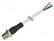 Connection lead; M12; PIN: 8; straight; 3m; plug; 30VAC; 2A; 7000 MURR ELEKTRONIK